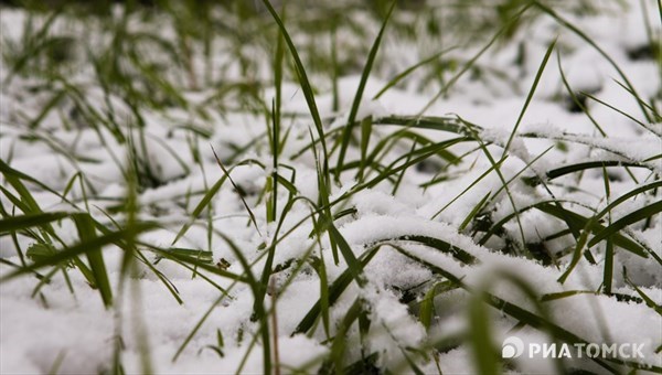Первый снег выпал на севере Томской области