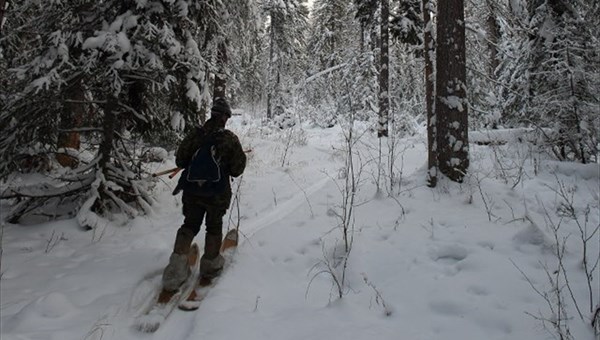 Праздник охотника впервые пройдет в Томской области в марте 2018г