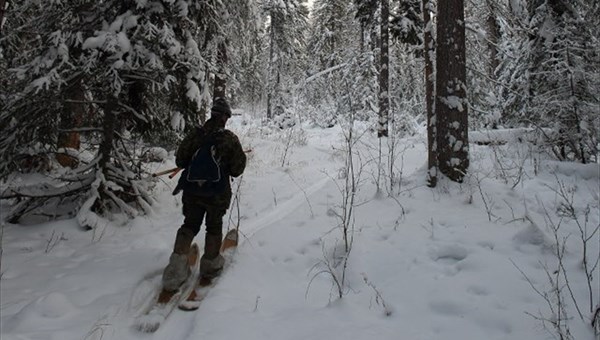 Число томских егерей, уполномоченных ловить браконьеров,вырастет втрое