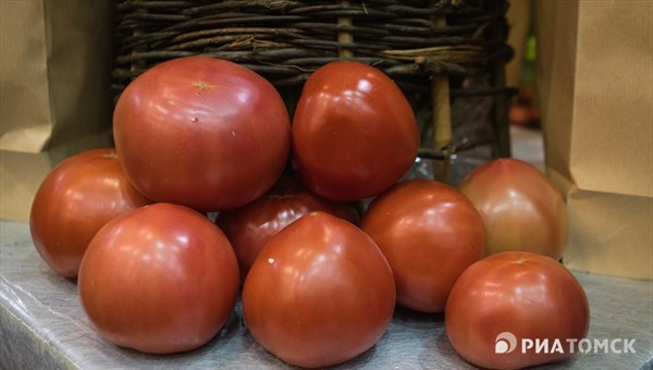 Ученые ТГУ разработали раствор для выращивания томатов в Арктике