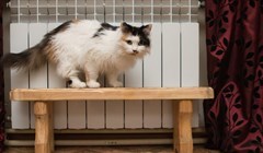 Специалисты ТомскРТС приступили к отключению отопления в Томске