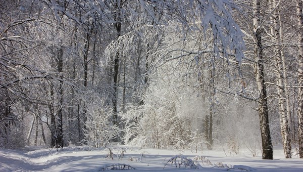 Мороз ниже минус 20 градусов ожидается в Томске в среду