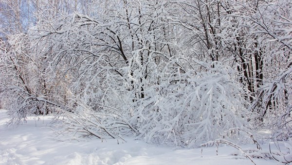 Морозная погода сохранится в Томске в воскресенье