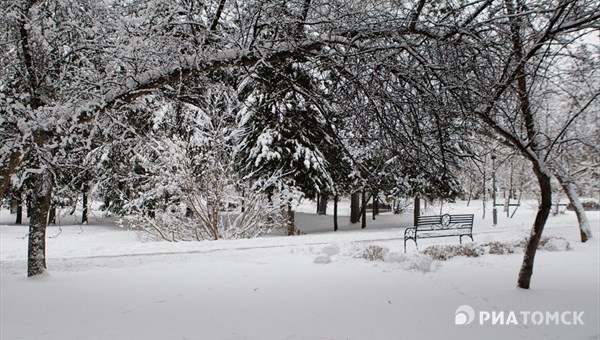 Снег ожидается в Томской области в большинстве дней 3-й декады декабря
