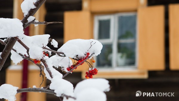 Мокрый снег ожидается в субботу в Томске