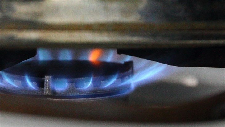 Жвачкин предложил увеличить размер компенсаций на газификацию жилья