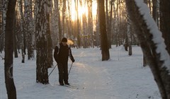 Томский спасатель рассказал, что делать, если заблудились в лесу зимой