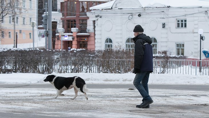 Малооблачная погода без осадков ожидает томичей в понедельник