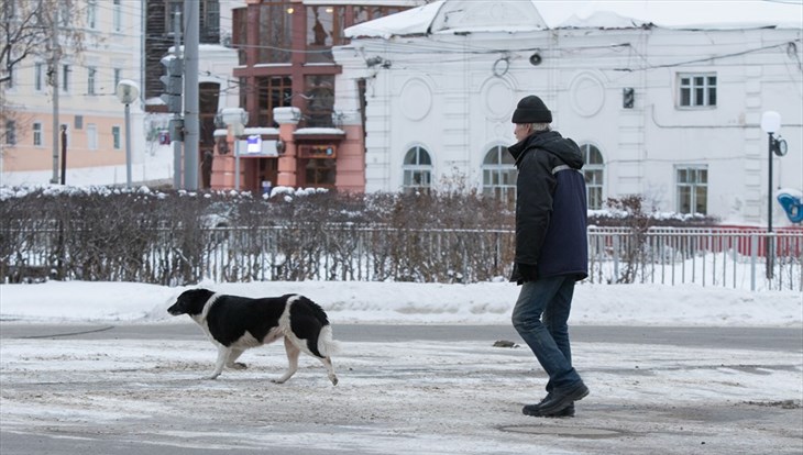 Малооблачная погода без осадков ожидает томичей в понедельник