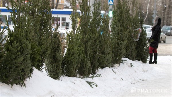 Елочные базары начнут работать в Томске с 15 декабря