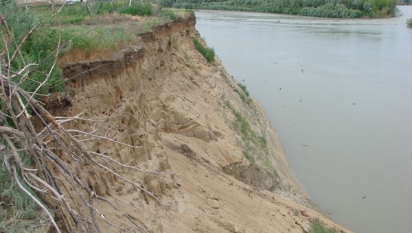 TSU scientist: the youngest Siberian unicorn was found in Kazakhstan