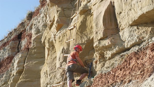 Наука камень точит: в ТГУ извлекают кости динозавра из скальной породы