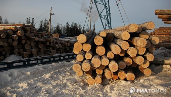 Власти: лесной кластер поможет получить федсредства для томского ЛПК