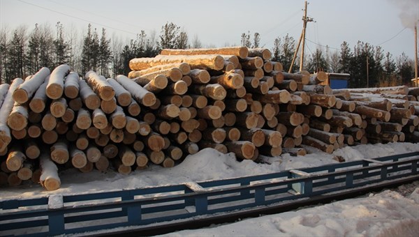 Китай уступил место крупнейшего импортера томского леса Узбекистану