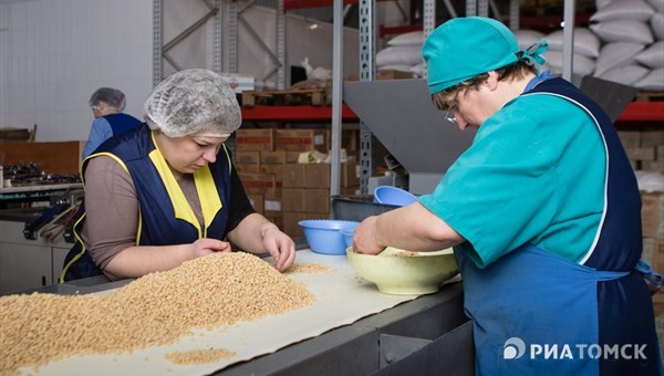 Окно в Европу: как кедровый орех из Томска завоевывает мировой рынок - РИА  Томск