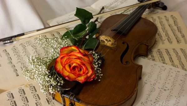 Томичи смогут услышать итальянскую скрипку XVII века на концерте в БКЗ