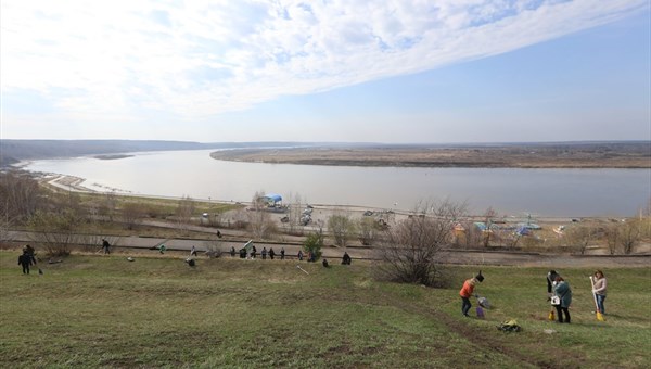 Власти: на нижней террасе Лагерного в Томске травить клещей не будут