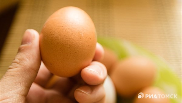 Птицефабрика Сибагро в Кузбассе получила первое инкубационное яйцо