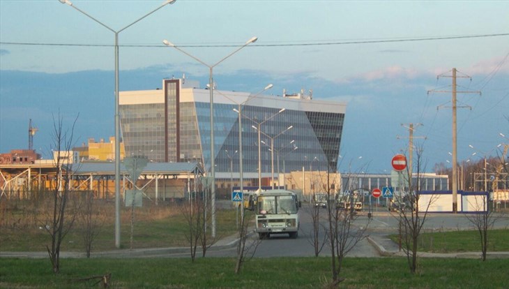 Лось разбился насмерть, упав с эстакады ОЭЗ Томск в Академгородке