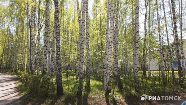 Экстрим-зона появится в парке отдыха в селе Бакчар Томской области