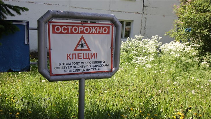 Еще один пункт серопрофилактики заработал на Профсоюзной в Томске