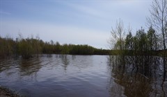 МЧС ожидает вторую волну паводка на реках Томской области в начале мая