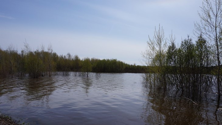 МЧС ожидает вторую волну паводка на реках Томской области в начале мая