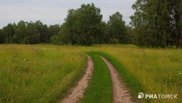 Спорную дорогу в томской деревне Петрово защитили сервитутом