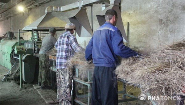 Томская фирма начнет в 2018г производить биоматы, сохраняющие почву