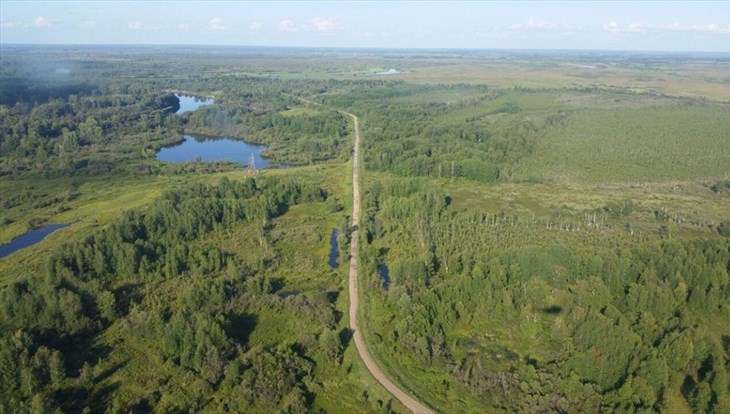 Все лесные пожары в Томской области потушены