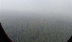 Площадь лесных пожаров в Томской области увеличилась до 1,4 тысячи га