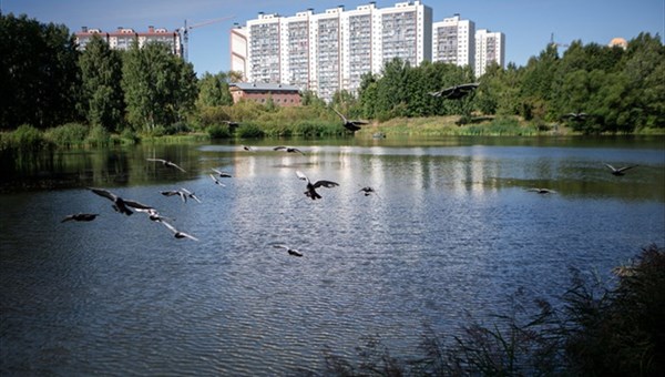 Зона отдыха появится у Ботанического озера в Томске