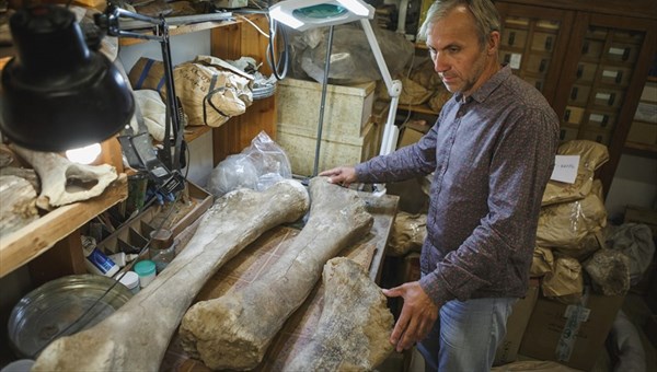 TSU paleontologists found record concentration of mammoths bones in RF