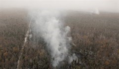Томские власти: 70% лесных пожаров в 2016г произошли по вине населения