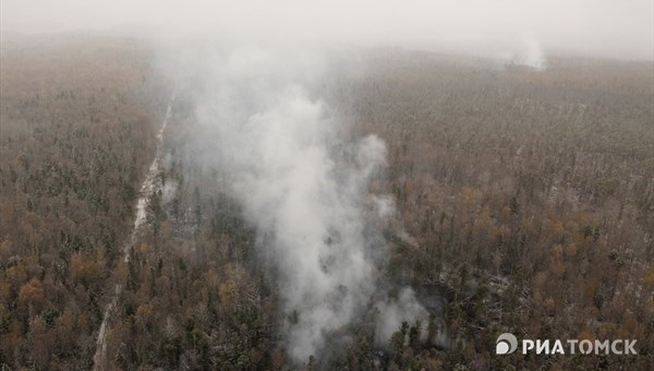 Томские власти: 70% лесных пожаров в 2016г произошли по вине населения