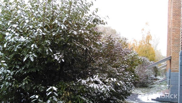 Готовим сани: первый снег в Томске в снимках Instagram
