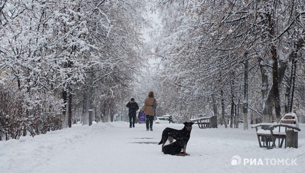 Понедельник в Томске будет прохладным, ожидается небольшой снег