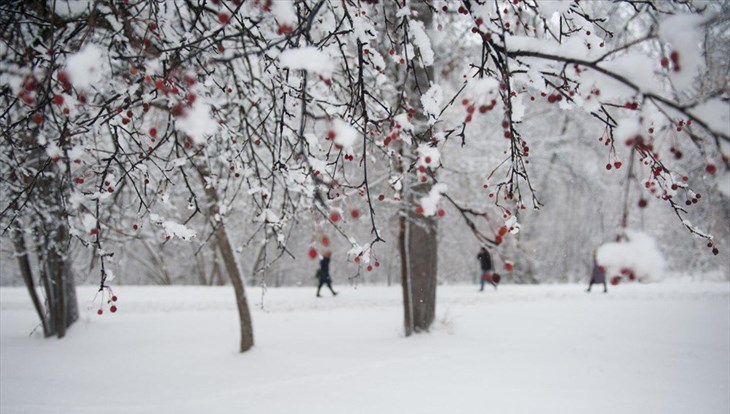 Четверг в Томске ожидается прохладным и ветреным, возможен снег