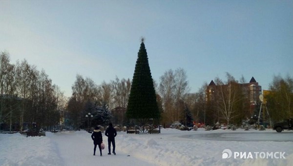 Установка новогодних елок началась в Томске