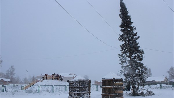 СМИ: лысая новогодняя елка в томском Тогуре обросла ветками
