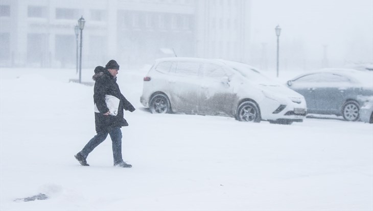 МЧС объявило оперативное предупреждение в Томской области из-за метели