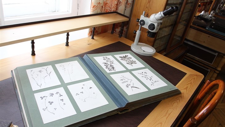 TSU will completely digitize its herbarium by 2022
