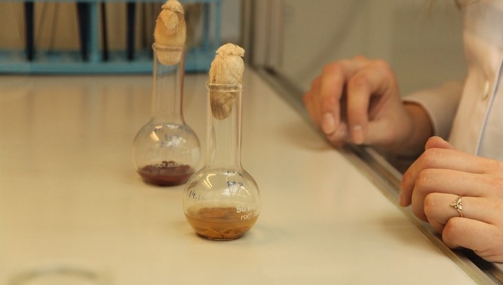 Ученые ТПУ придумали, как грибы очистят воду от тяжелых металлов