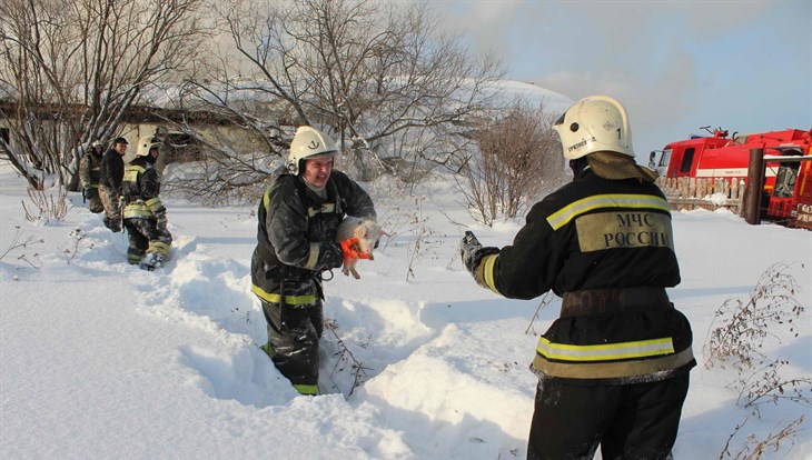 Пожарные выносят на руках поросят из горящего свинарника под Томском