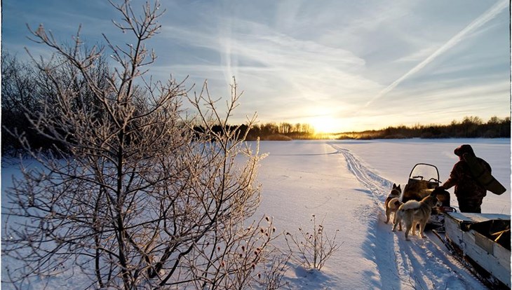 Мороз до минус 19 градусов сохранится в Томске в понедельник
