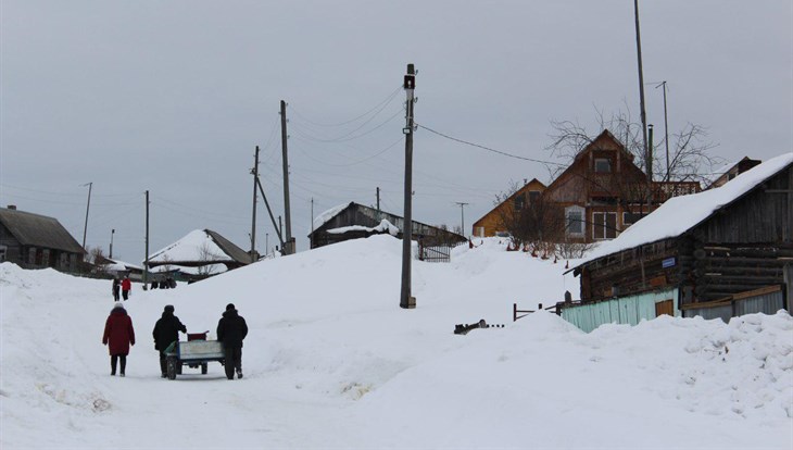 Отловить нельзя оставить: куда пропали собаки в томском селе Ягодное