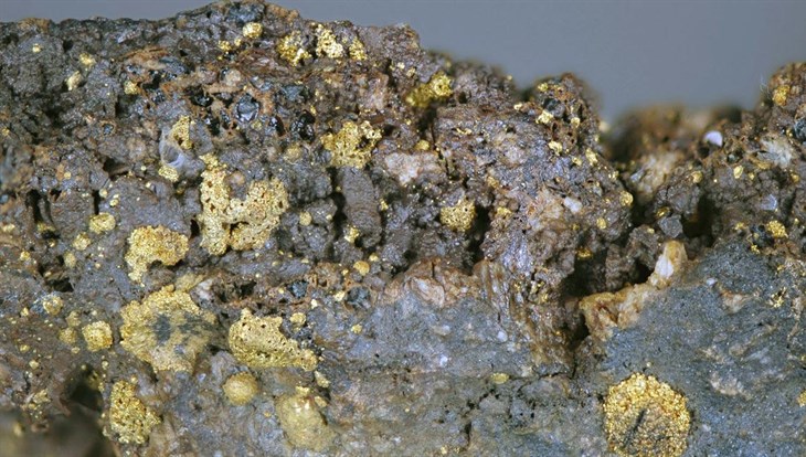 TSU geologists estimate 2 gold deposits near BAM for Nordgold