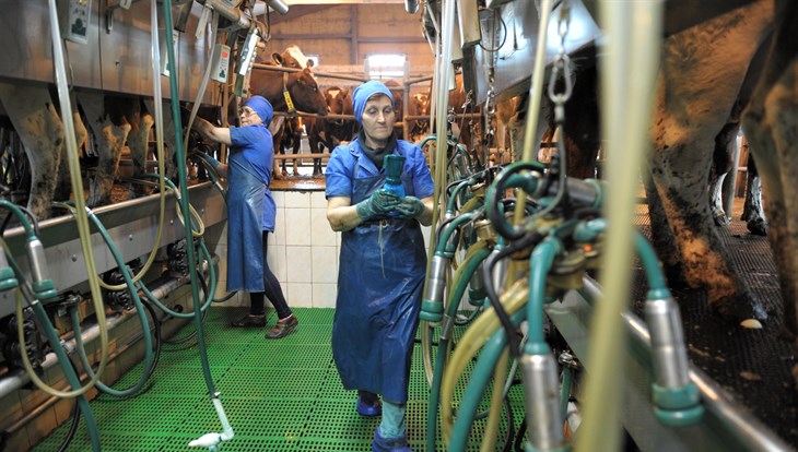 Томский СПК Белосток планирует запустить производство твердых сыров