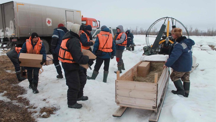 Около 750 кг взрывчатки ушло на подрыв льда на Оби в Томской области