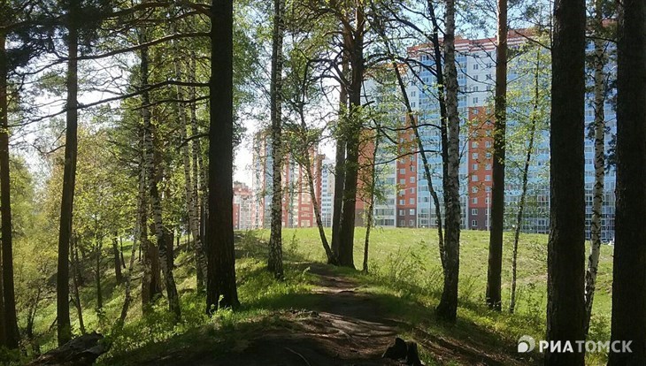 Паршуто о судьбе леса в Солнечной Долине: пока еще нечего обсуждать